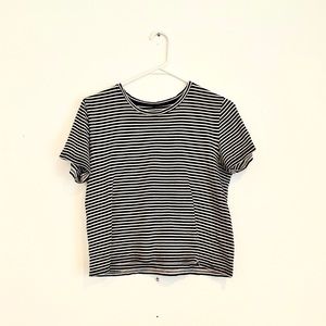 Everlane Cropped Top